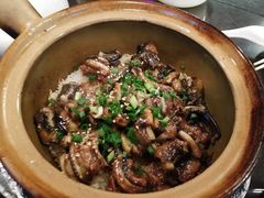 -红星光发煲仔饭(大石街店)