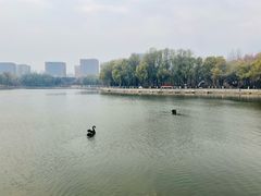 -长春世界雕塑园冰雪艺术天地