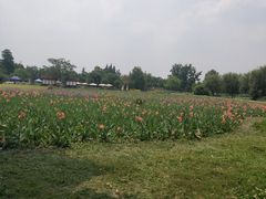 -蜀水别园(青杠树店)