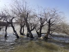 -捞渔河湿地公园