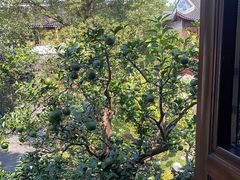 -苏城小院·园林精致苏州菜(斜塘老街店)