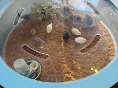 -上海怡沁园度假酒店