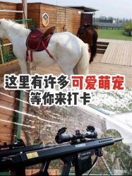 -小蜜蜂农场(凯德七宝购物广场店)