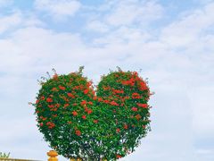 -东莞植物园