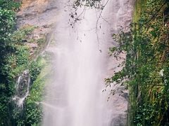 -莫里热带雨林景区