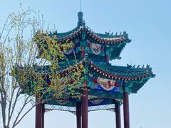 -河北省园博园