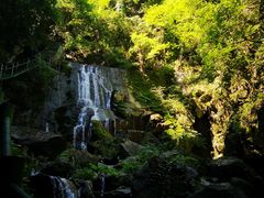 -藏龙百瀑风景区