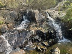 -鲁山国家森林公园