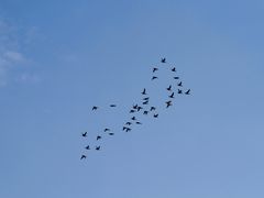 -黄河三峡风景名胜区