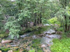 -玉渡山自然风景区