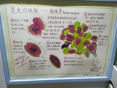 -上海昆虫博物馆