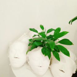 -紫御国际抗衰ZOE ANTI AGING