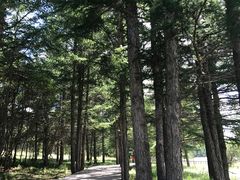 -塞罕坝国家级自然保护区