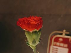 -潇湘府PLUS(大族广场店)