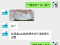 -宠物之家Pets Home 宠物寄养酒店