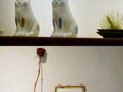 -猫里有甜