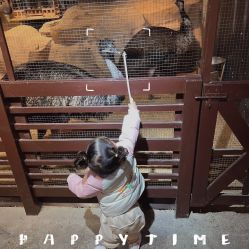 -酷嗒动物文化乐园(cutezoo西溪乐天城店)