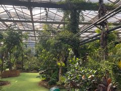 -呀路古热带植物园