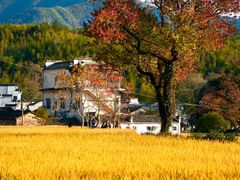 -塔川景区