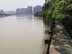 -南湖梦幻岛