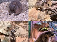 -正佳雨林生态植物园