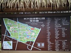 -上海长兴岛郊野公园