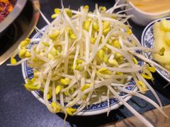 井水豆芽-沸炉重庆老火锅(军事博物馆店)