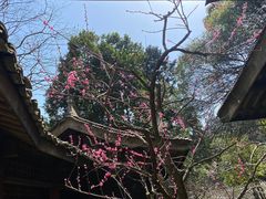 -黄公望隐居地