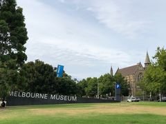 -墨尔本博物馆(Melbourne Museum)