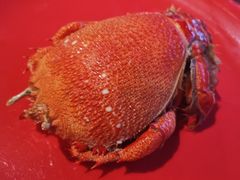 -厦门日月谷温泉渡假村