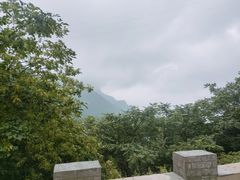 -白草畔自然风景区