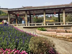 -广州莲花山旅游区