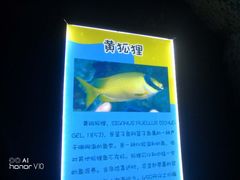 -临沂极地海洋王国