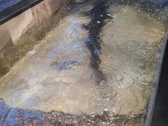 -营信刘罗锅铁锅炖(建华店)