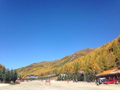 iphone_upload_pic-塞罕坝国家级自然保护区