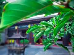-湘子庙
