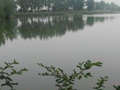 -洨河生态公园