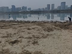 -天鹅湖体育公园
