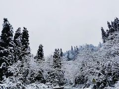 -峨眉山风景名胜区