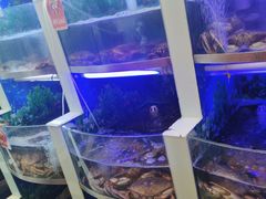 -七欣天香辣蟹火锅(扬州望月路店)