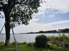 -金鸡湖景区