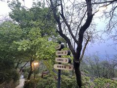 -缙云山景区