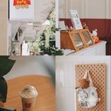 佛山探店｜啡悦地图打卡Take7🎬FOR FREE CAFE