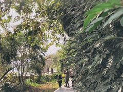 -金山公园