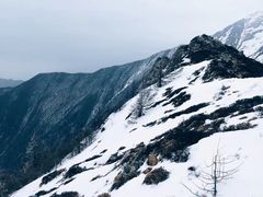 -秦岭风景区