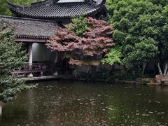 -范蠡湖公园