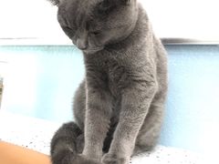 -联合动物医院(光谷诊疗中心)