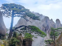 -黄山风景区