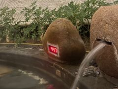 -凤翔首邑温泉度假村