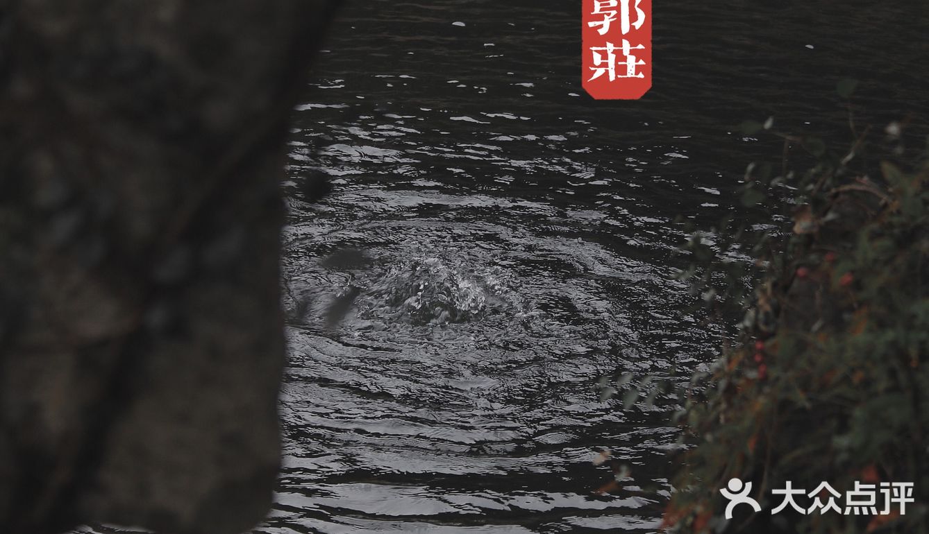 端友别墅🏡莫说杭州无园林！